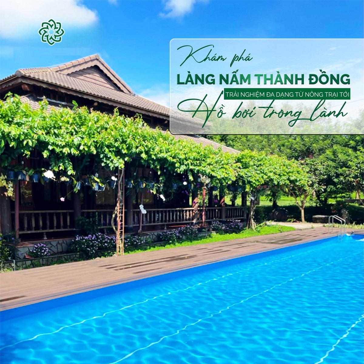 Khu Du Lịch Sinh Thái Làng Nấm Thành Đồng – Điểm Đến Trải Nghiệm Nông Nghiệp Xanh 7 Triển khai thi công đồng bộ theo định hướng du lịch sinh thái bền vững